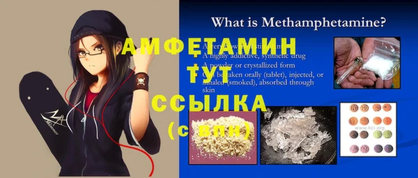 мдпв Вяземский