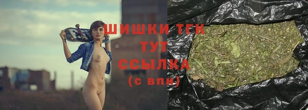 мдпв Вяземский