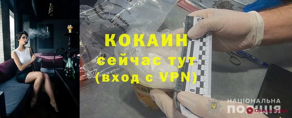 мдпв Вяземский