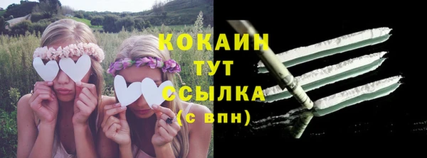 мдпв Вяземский
