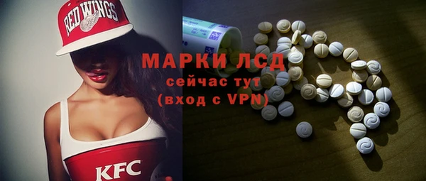 мдпв Вяземский