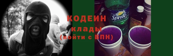 мдпв Вяземский