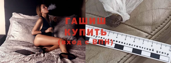 мдпв Вяземский