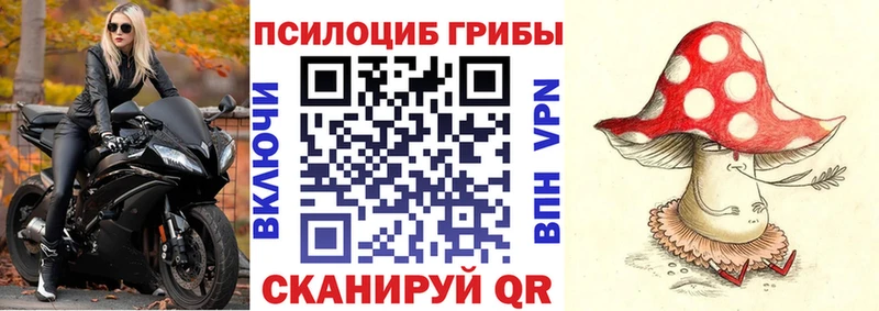 Галлюциногенные грибы Psilocybine cubensis  Рязань 